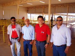 Gilson Brito Frasão, Paulo Roberto de Paula (Sindmontagem), Corumbá (Conticom/CUT) e Nilson Cavalcante (Alimentação)