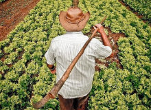 Reforma agrária e alimento no prato: pauta da CUT